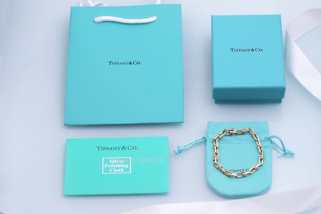 Tiffany Hardwear Sterling Silver Large Buckle Bracelet (3) - www.newkick.vip